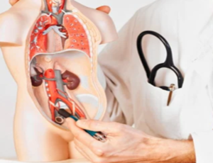 Expert Uro-Surgery at Devi Ratna Hospital